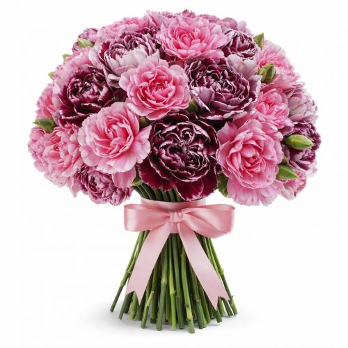 Диантус микс 3