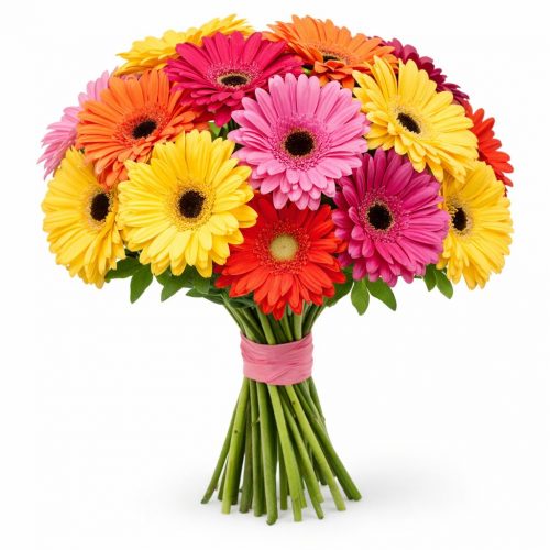 Гербера микс 3