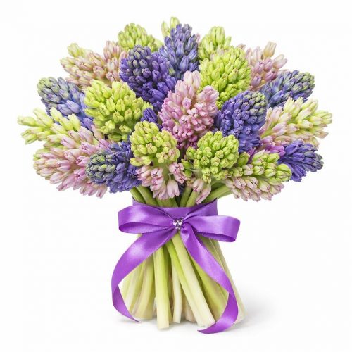 Гиацинт микс 3