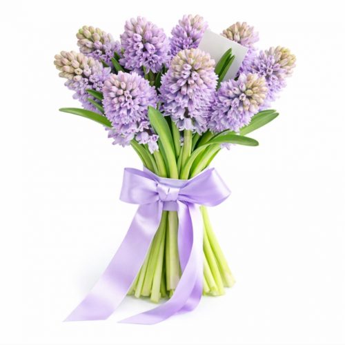 Гиацинт розовый