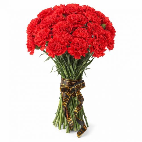 Гвоздика красная