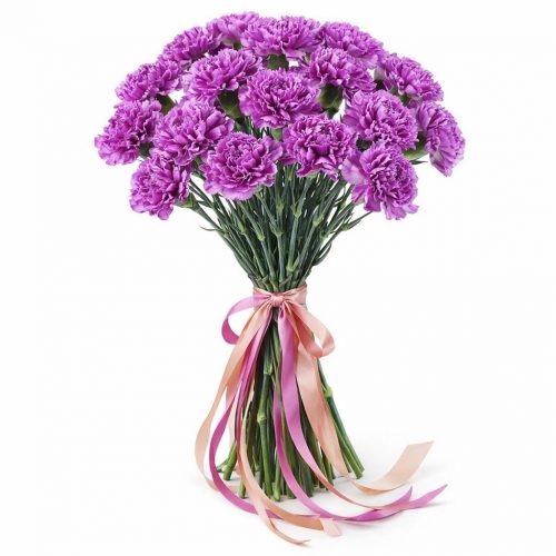 Гвоздика фиолетовая