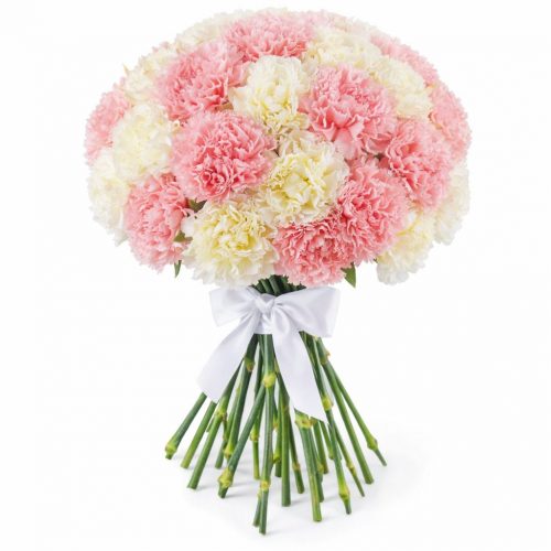 Гвоздика микс 2