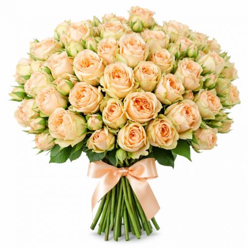 Розы Пионовидные бежевые